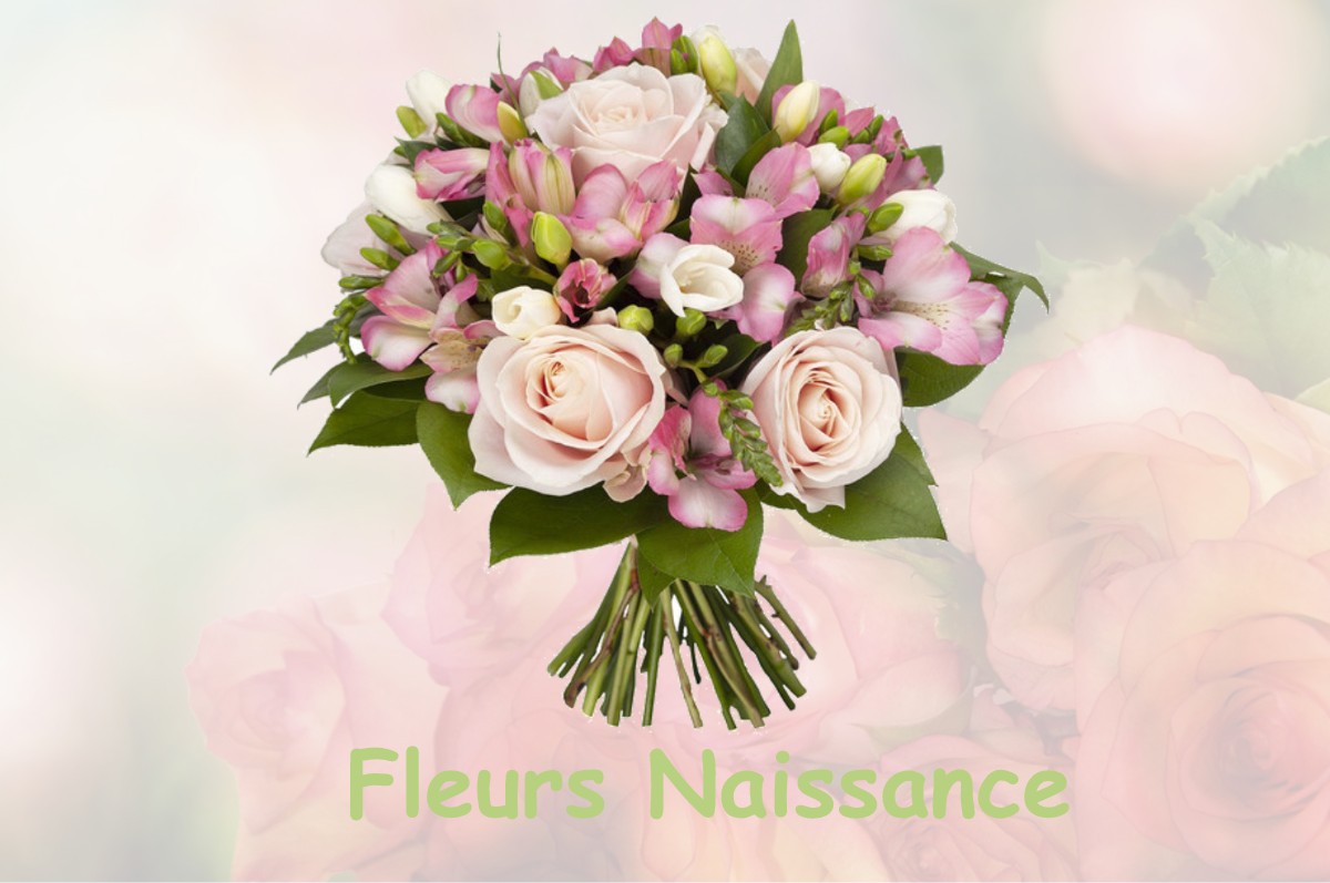 fleurs naissance SAINT-PIERRE-D-ARGENCON